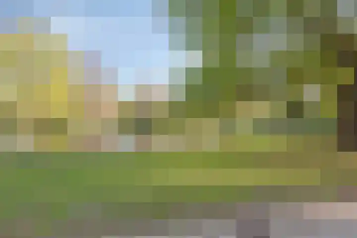Bergstraat 73 Groningen thumbnail 4