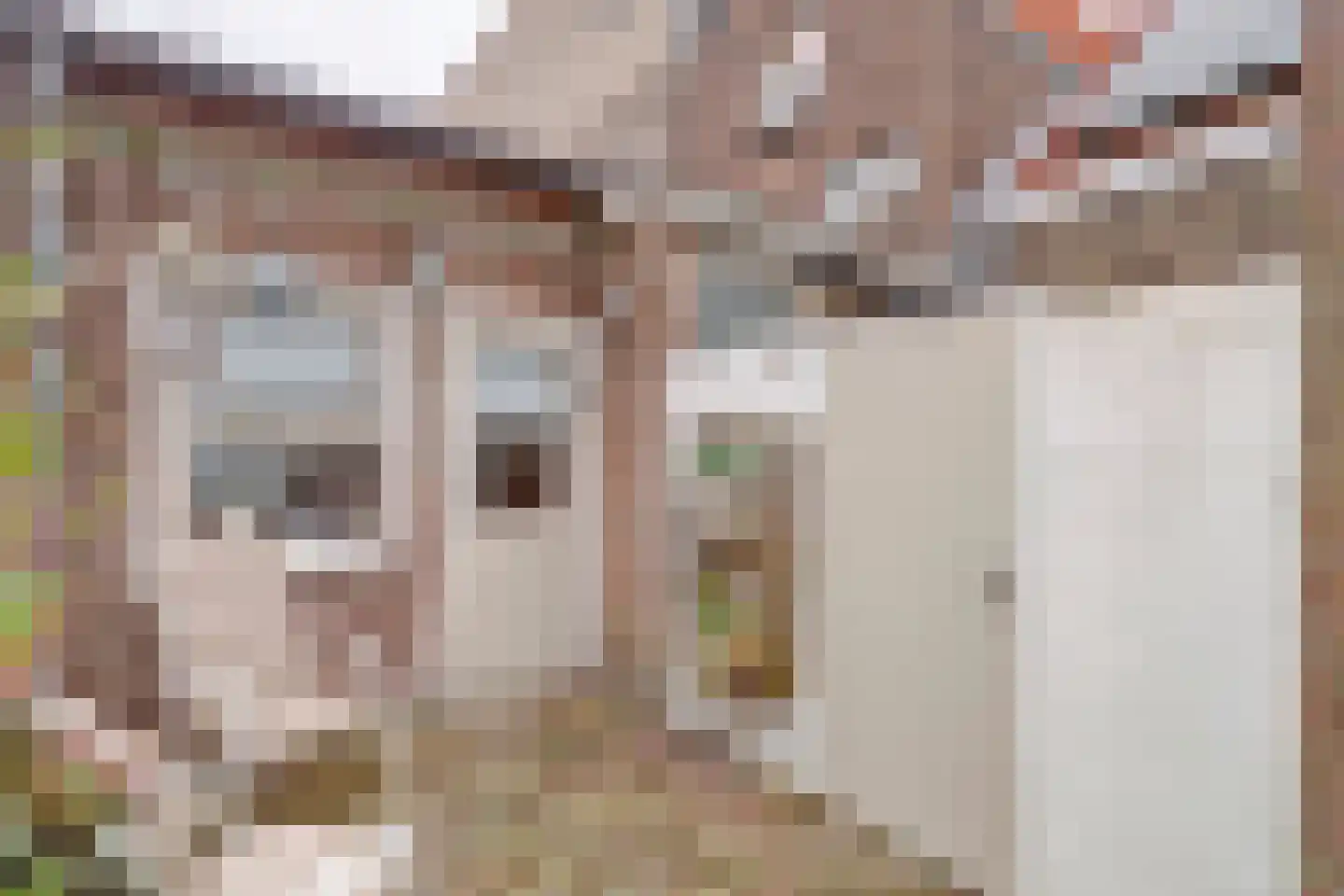 Bergstraat 74 Leerdam thumbnail 22