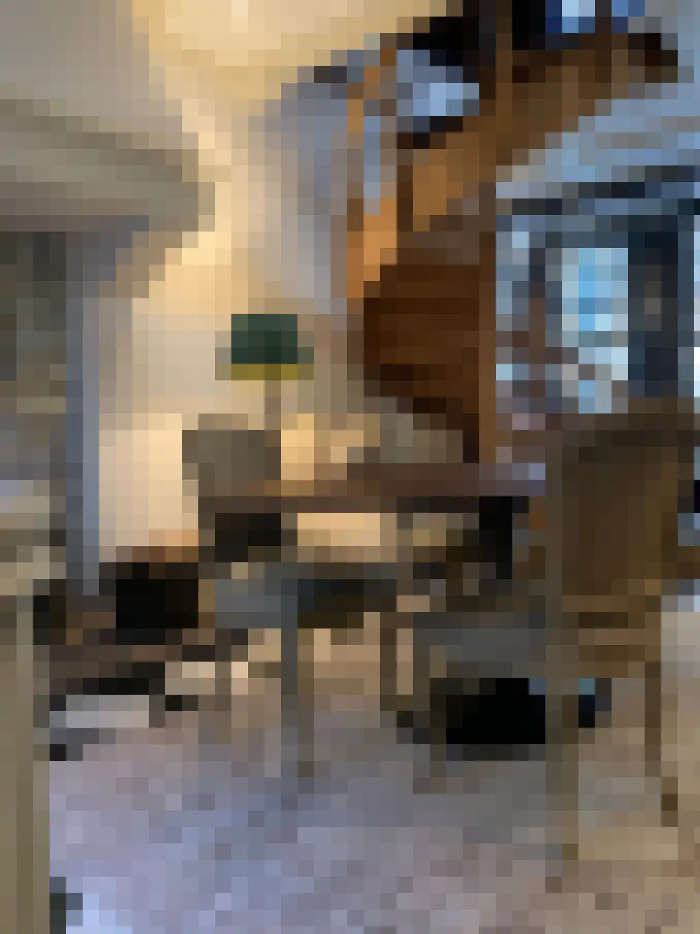 Bergstraat 8 Amsterdam thumbnail 45