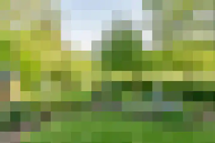 Bergstraat 9 Geleen thumbnail 35