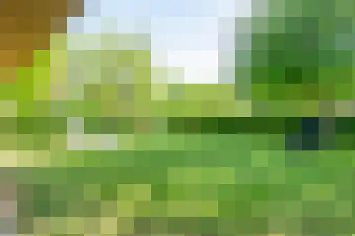 Bergstraat 9 Geleen thumbnail 37