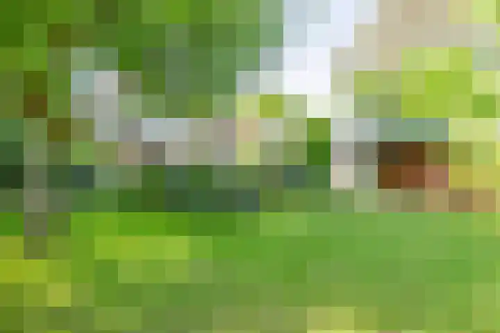 Bergstraat 9 Geleen thumbnail 39