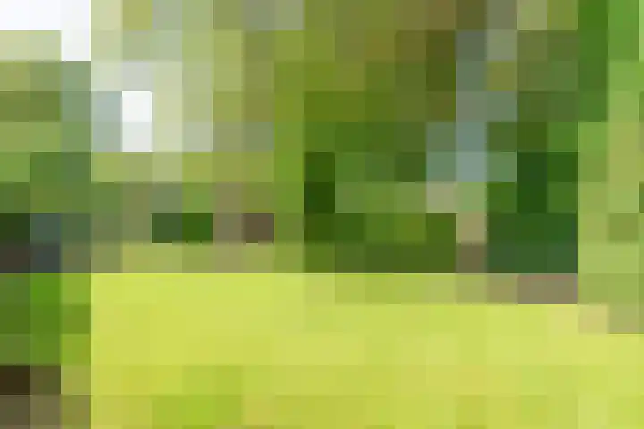 Bergstraat 9 Geleen thumbnail 42