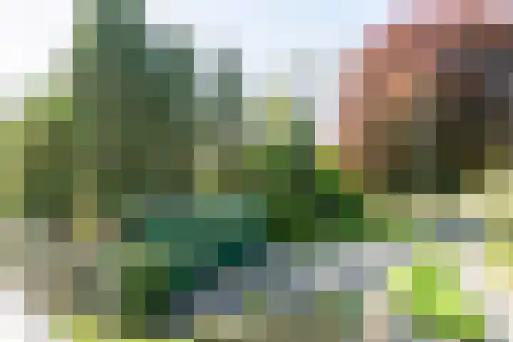 Bergstraat 9 Geleen thumbnail 8