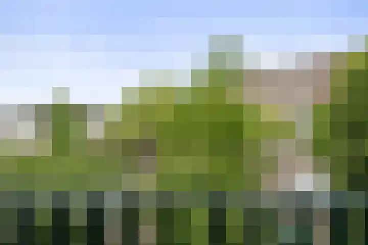 Bergweg 123 B Rotterdam thumbnail 23