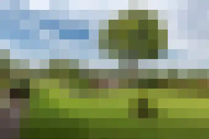 Bergweg 2 Lemelerveld thumbnail 35