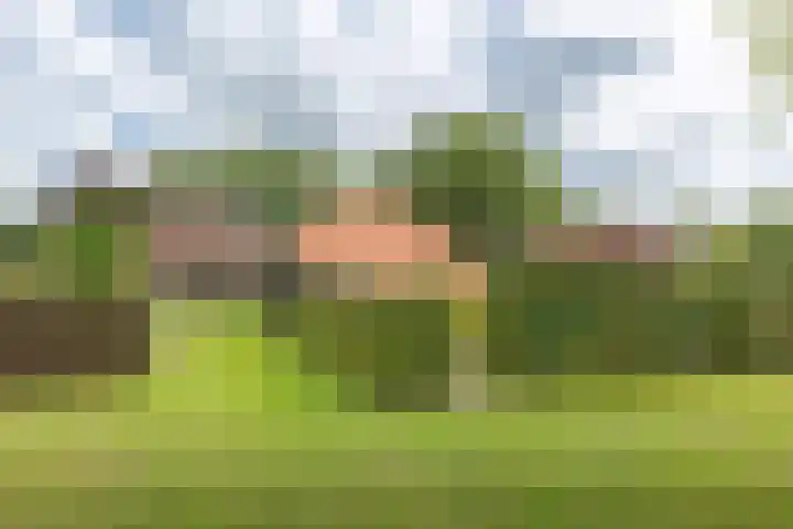 Bergweg 2 Lemelerveld thumbnail 37