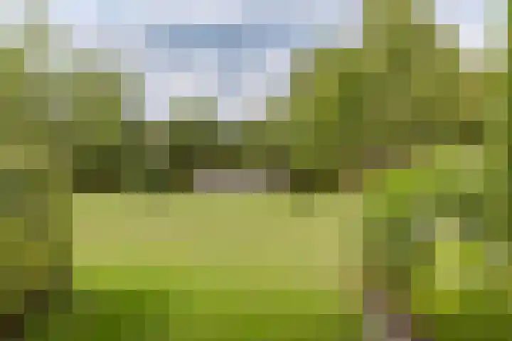 Bergweg 2 Lemelerveld thumbnail 44