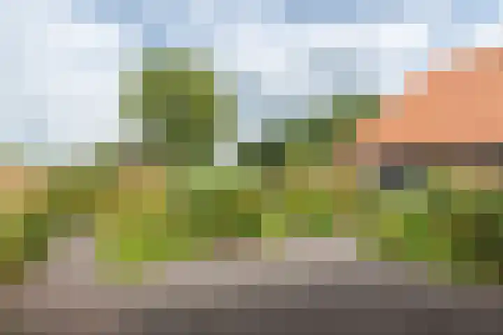 Bergweg 2 Lemelerveld thumbnail 46