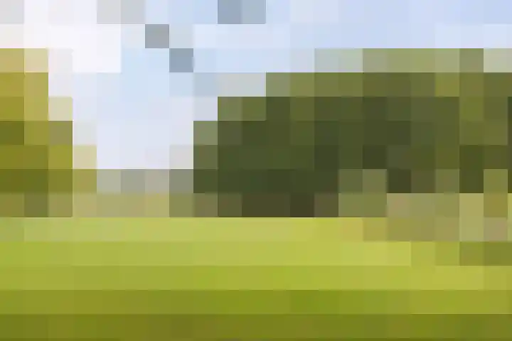 Bergweg 2 Lemelerveld thumbnail 50
