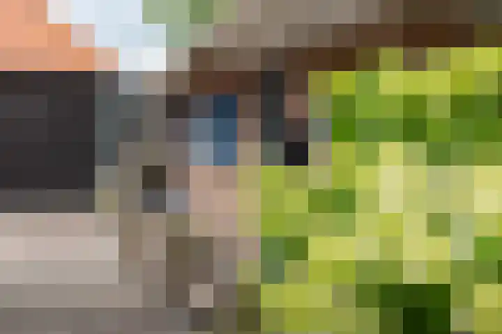 Bergweg 2 Lemelerveld thumbnail 7