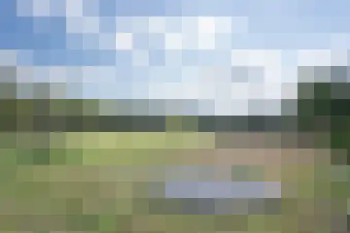 Bergweg 20 Overberg thumbnail 24