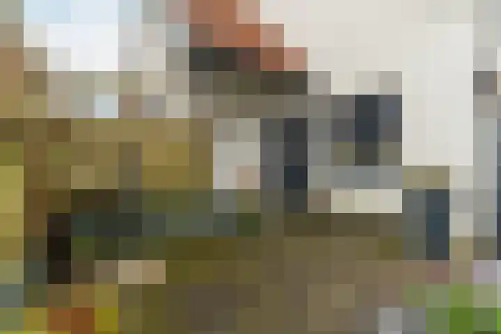 Bergweg 32 Velp thumbnail 33