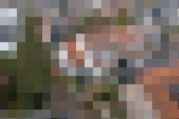Bergweg 32 Velp thumbnail 36