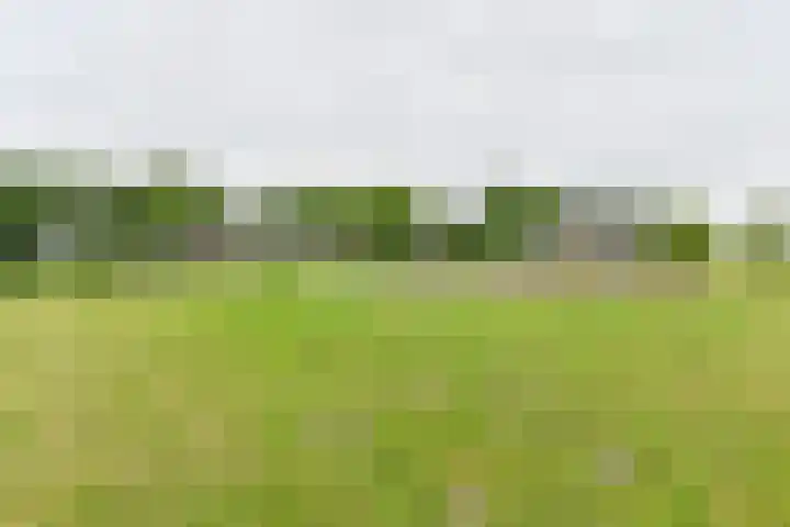 Bergweg 6 Tuk thumbnail 38