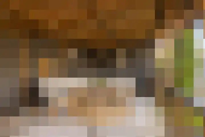 Bergweg 6 Tuk thumbnail 40
