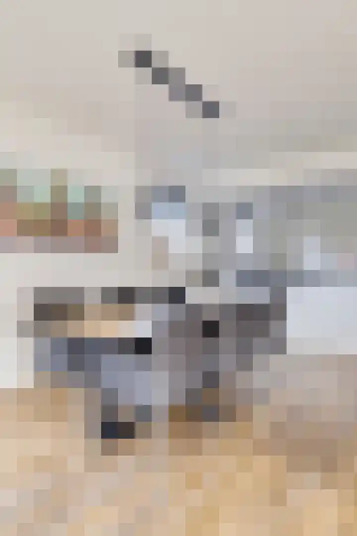 Berk 12 Leek thumbnail 11