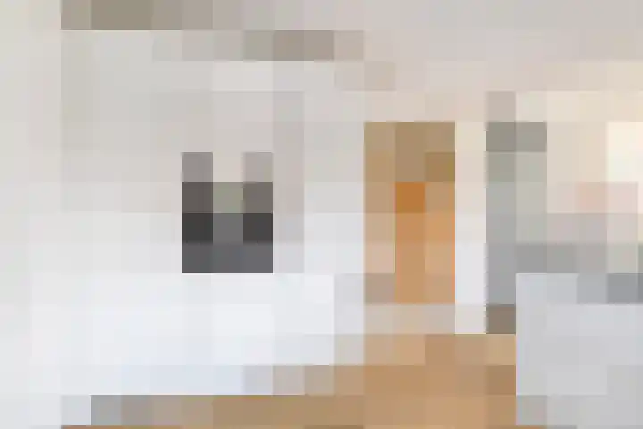 Berk 12 Leek thumbnail 17