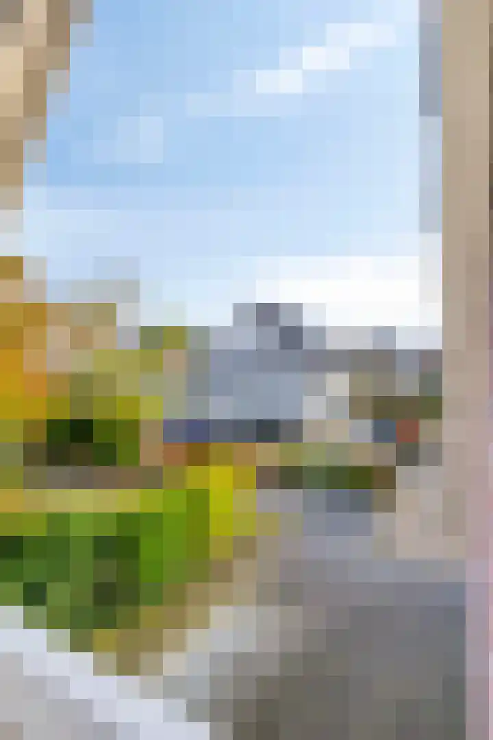 Berk 12 Leek thumbnail 24