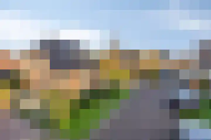 Berk 12 Leek thumbnail 43