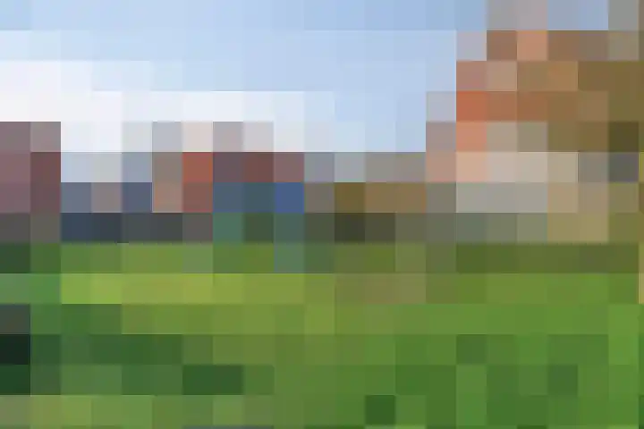 Berk 12 Leek thumbnail 44