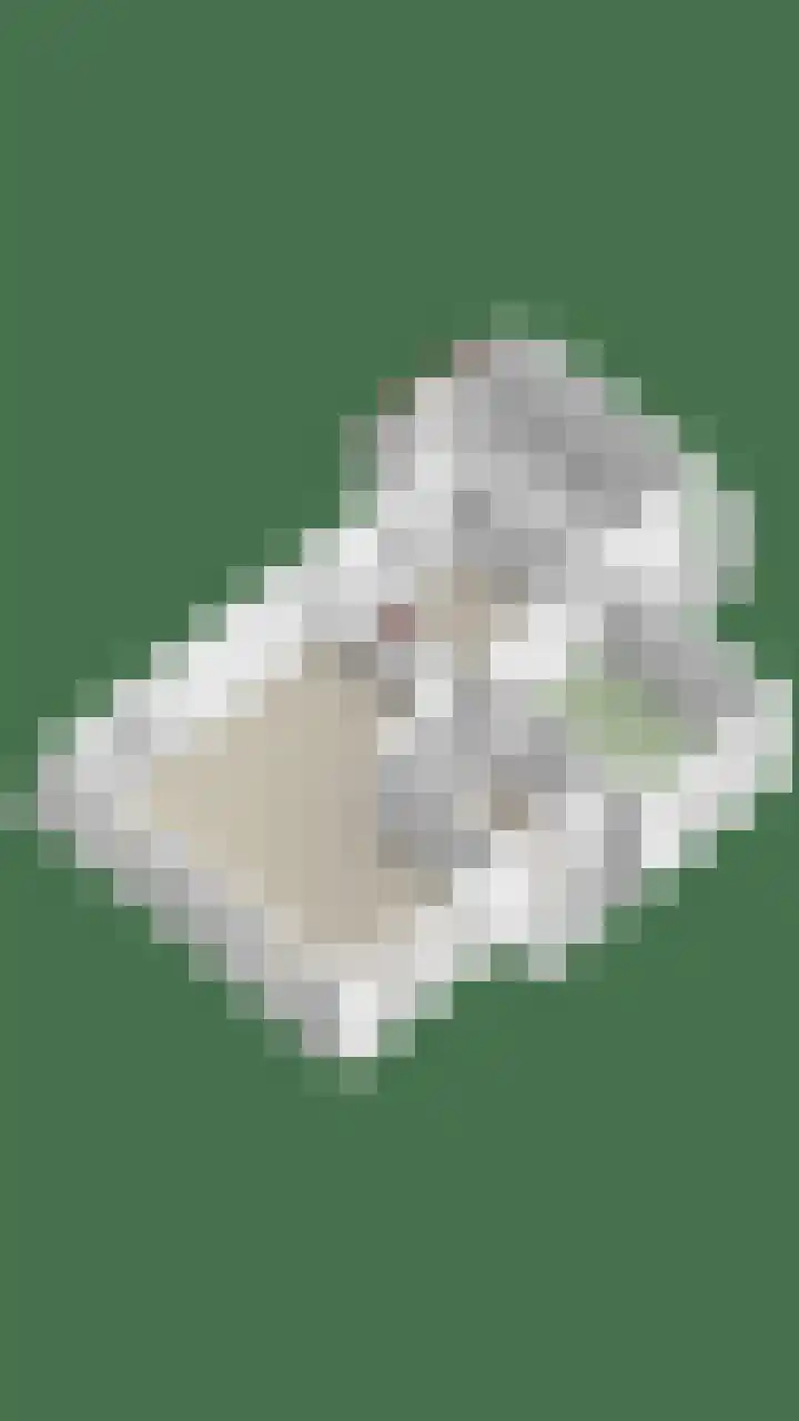 Berk 12 Leek thumbnail 48