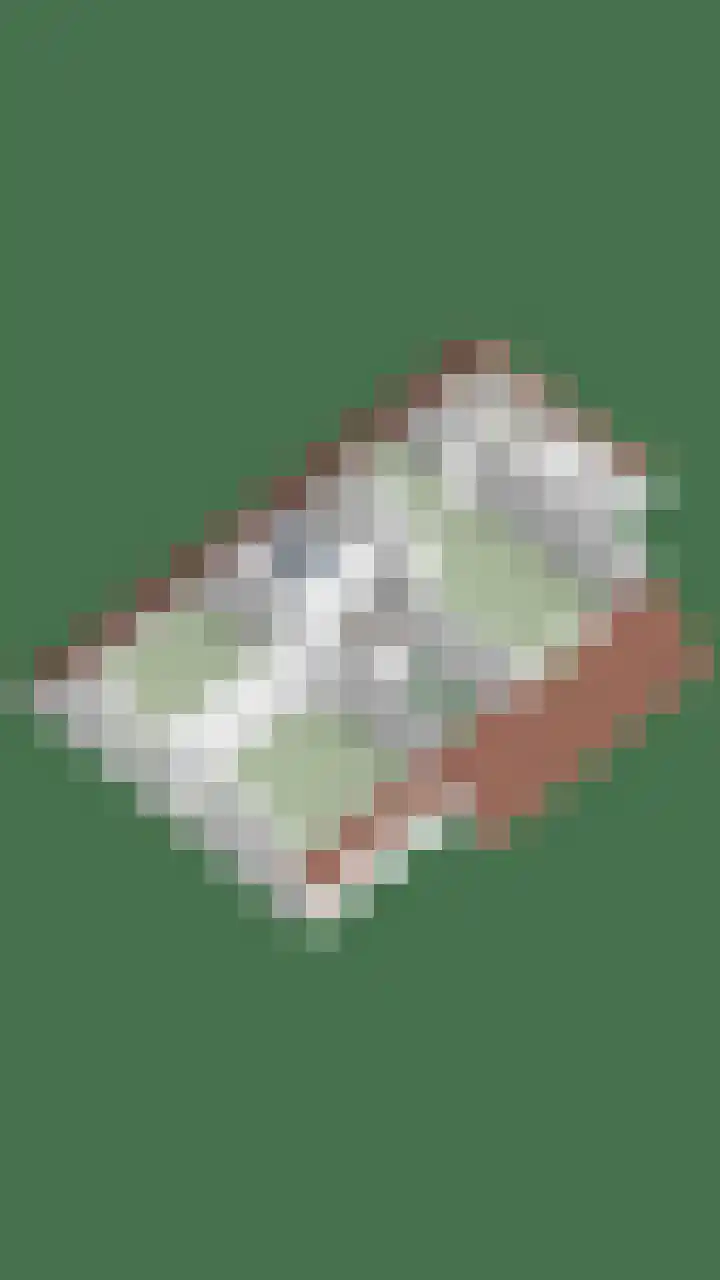 Berk 12 Leek thumbnail 50
