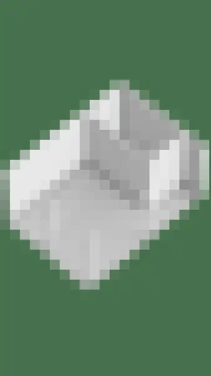 Berk 12 Leek thumbnail 54