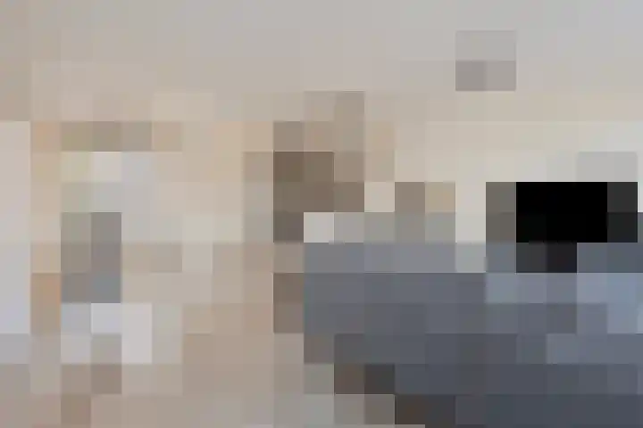 Berk 21 Mierlo thumbnail 10