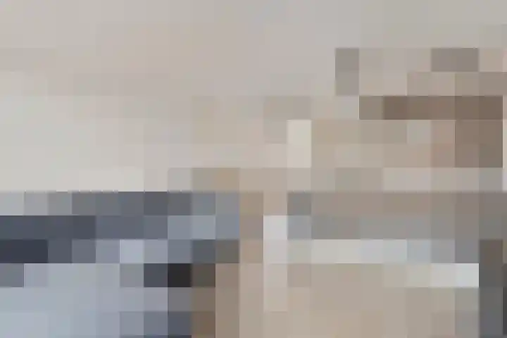 Berk 21 Mierlo thumbnail 11