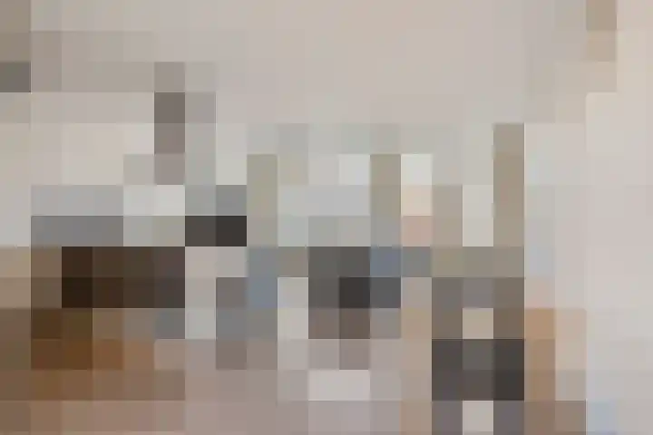 Berk 21 Mierlo thumbnail 12