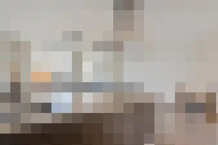 Berk 21 Mierlo thumbnail 15