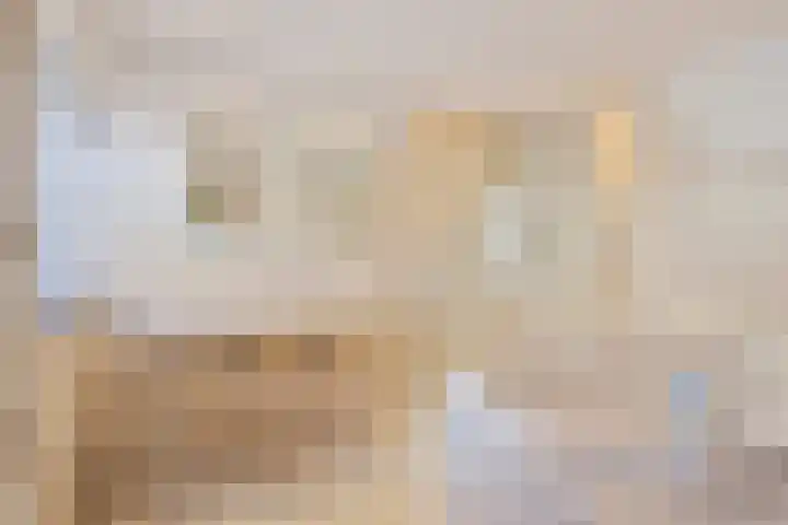 Berk 21 Mierlo thumbnail 19