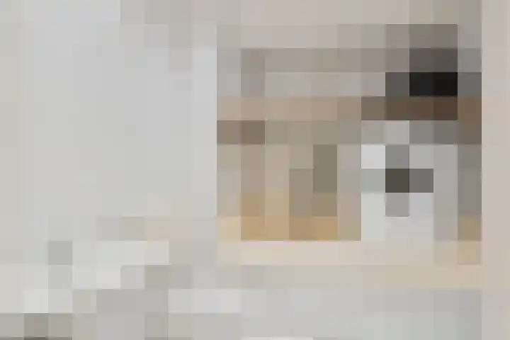 Berk 21 Mierlo thumbnail 21
