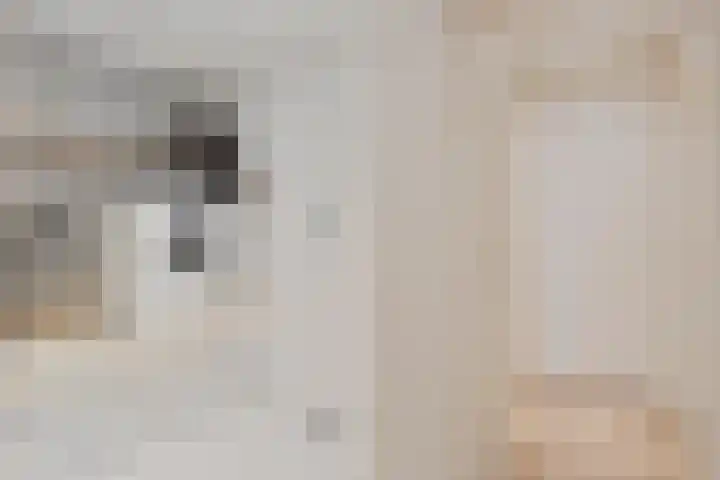 Berk 21 Mierlo thumbnail 22