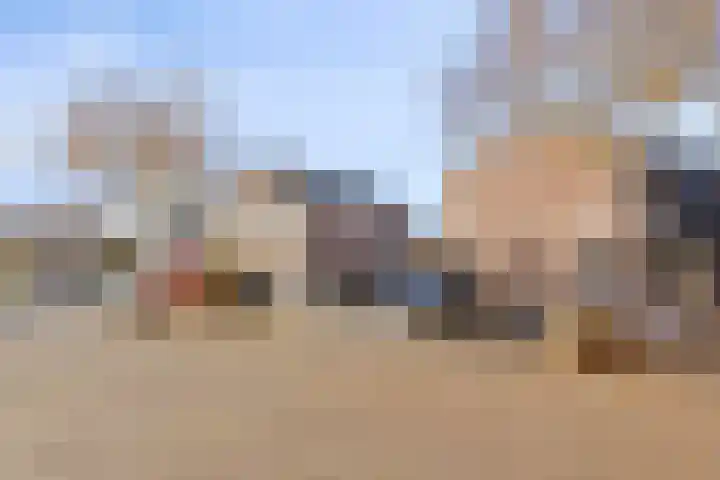 Berk 21 Mierlo thumbnail 28