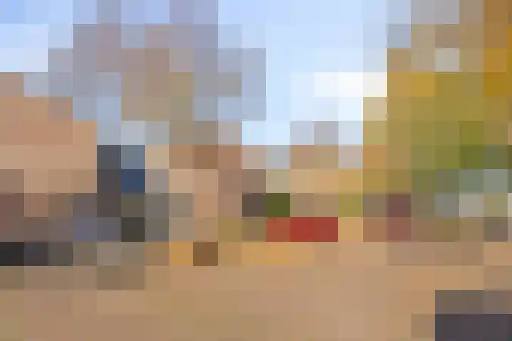 Berk 21 Mierlo thumbnail 30
