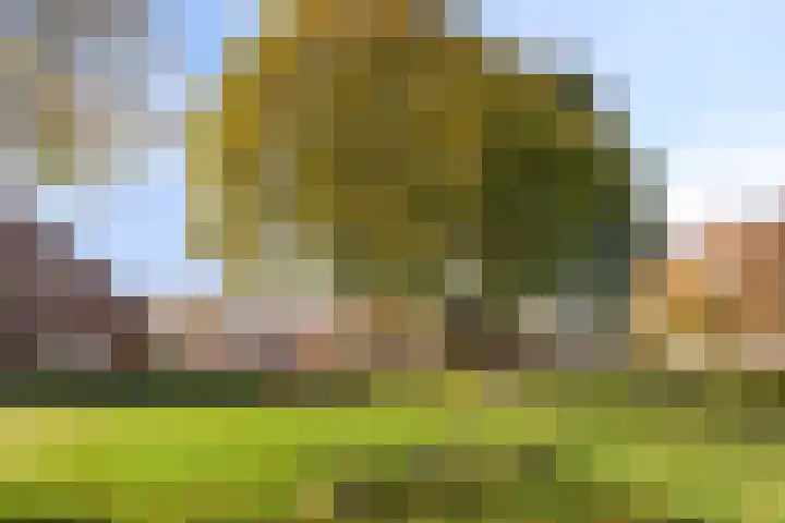 Berk 21 Mierlo thumbnail 31