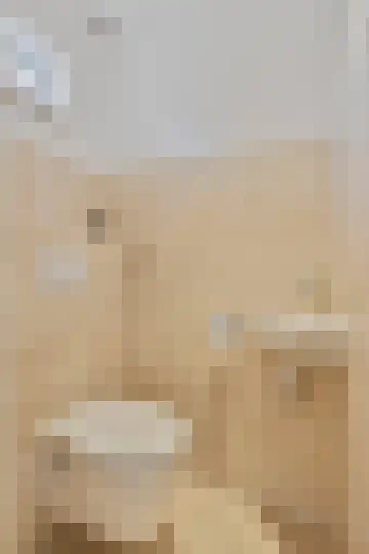 Berk 21 Mierlo thumbnail 6