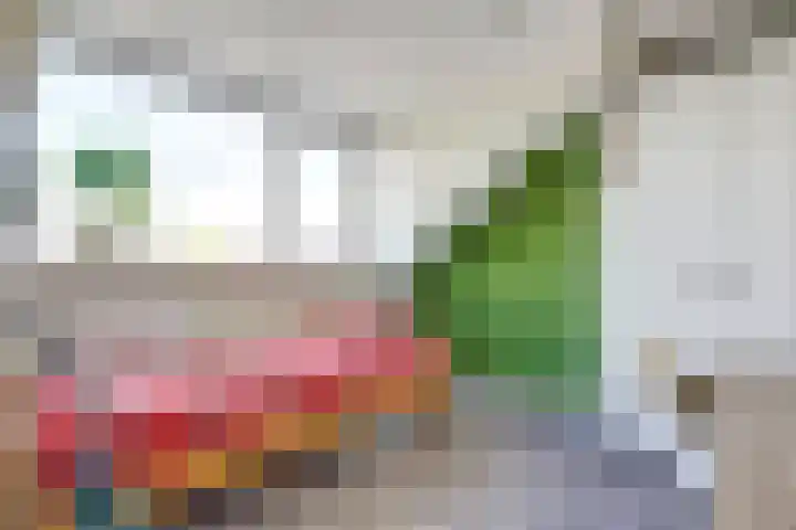 Berkehof 6 's-Gravenpolder thumbnail 29