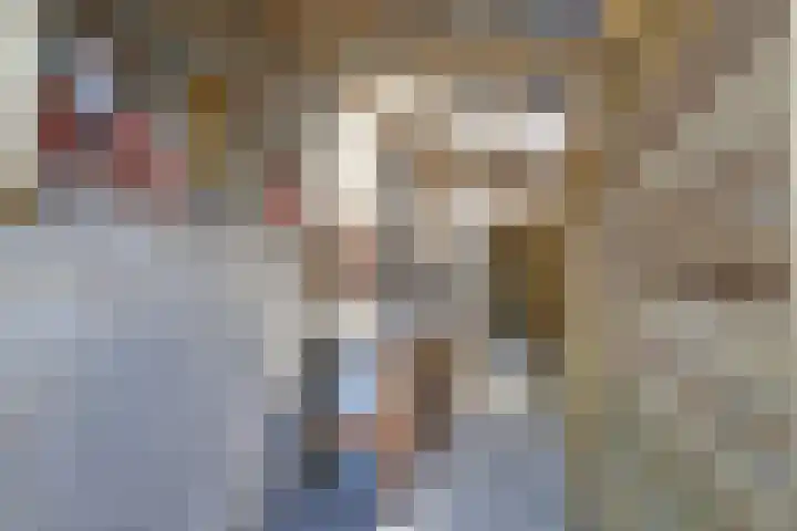 Berkehof 6 's-Gravenpolder thumbnail 31