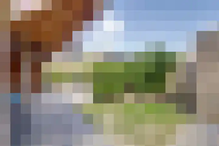 Berkehof 6 's-Gravenpolder thumbnail 33