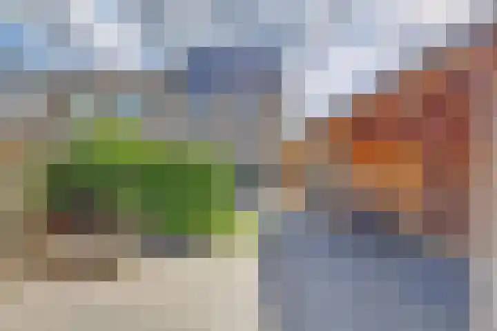 Berkehof 6 's-Gravenpolder thumbnail 35
