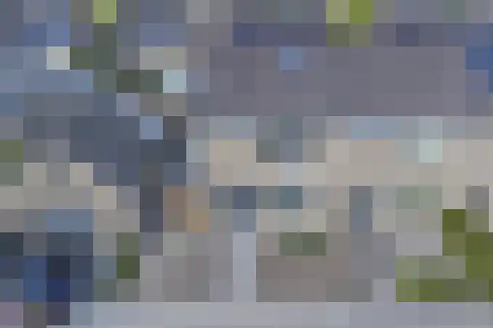 Berkehof 6 's-Gravenpolder thumbnail 36
