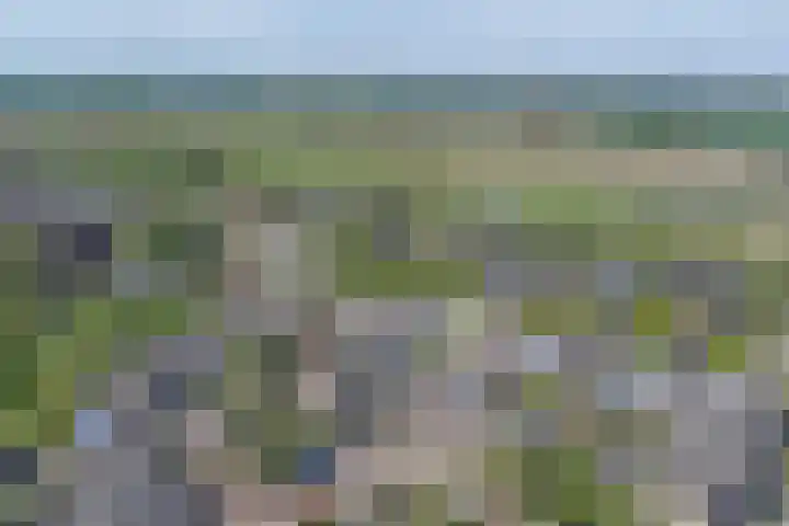 Berkehof 6 's-Gravenpolder thumbnail 40