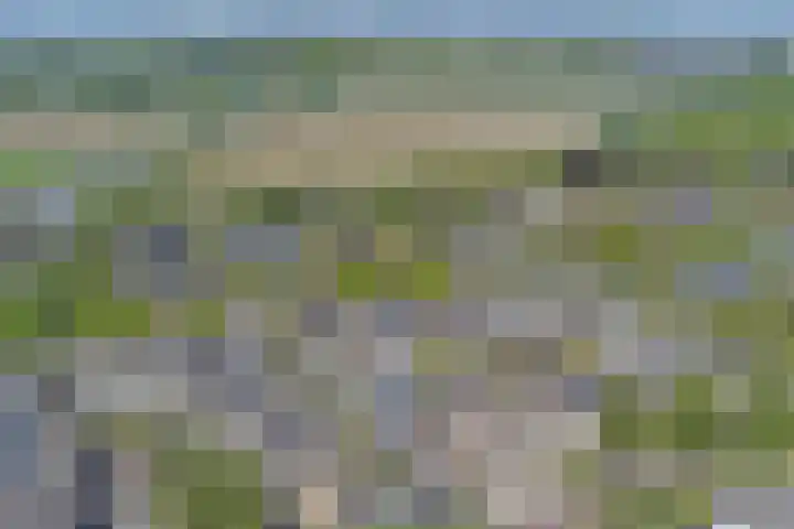 Berkehof 6 's-Gravenpolder thumbnail 41