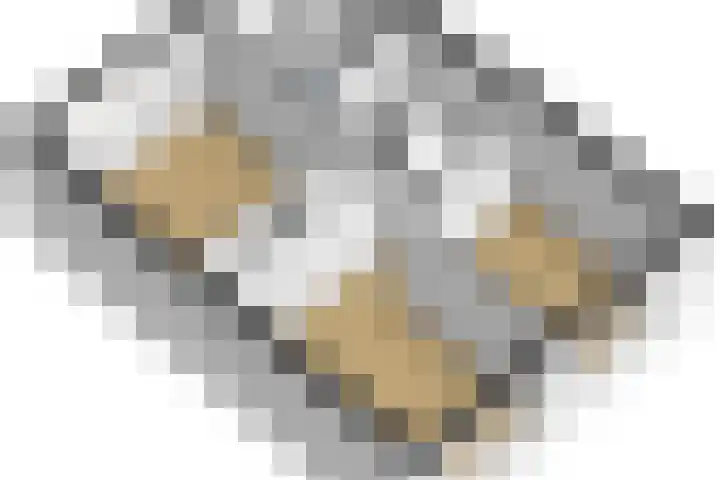 Berkehof 6 's-Gravenpolder thumbnail 48