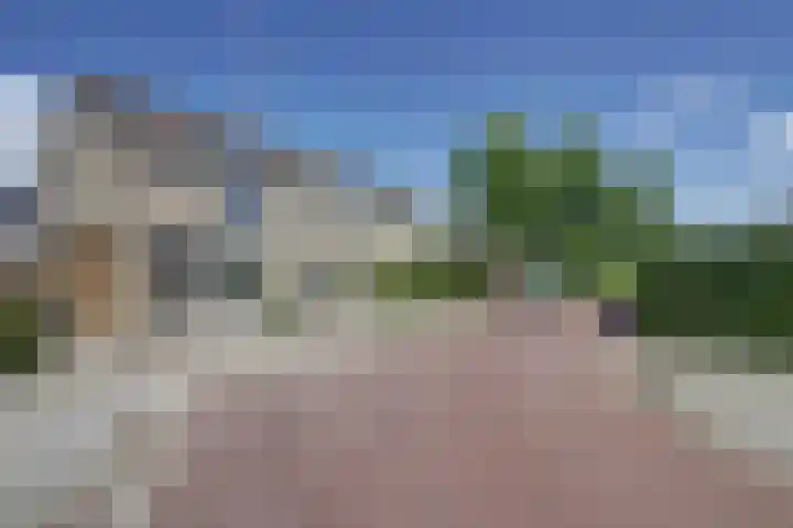 Berkehof 6 's-Gravenpolder thumbnail 5
