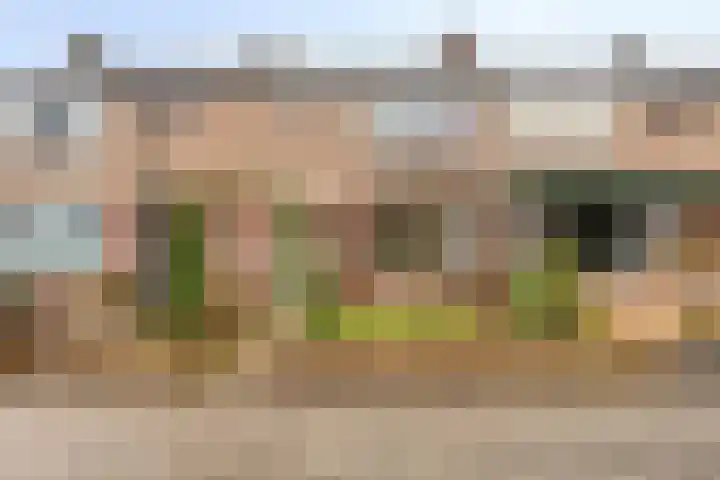 Berkellaan 7 Borculo