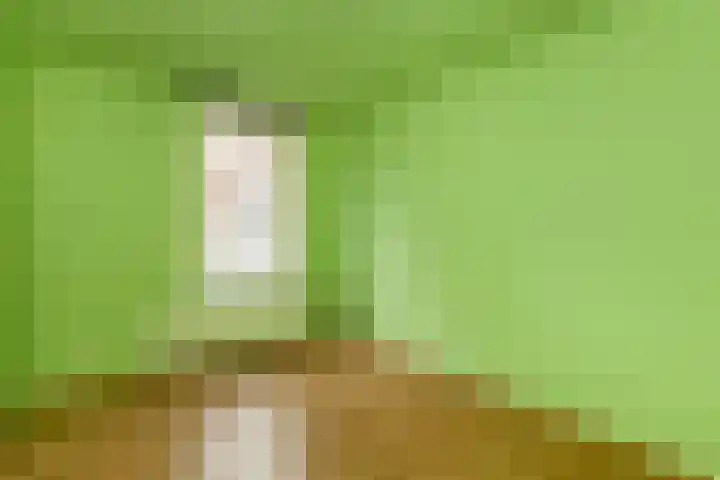 Berkelselaan 41 B Rotterdam thumbnail 21
